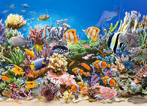 Colours of the Ocean - Pussel 260 bitar