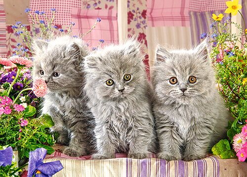Three Grey Kittens - Pussel 260 bitar