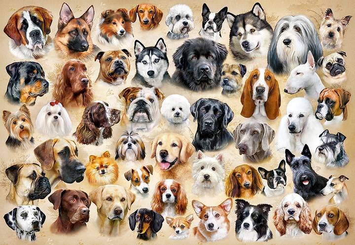 Collage with Dogs, 1500 bitar