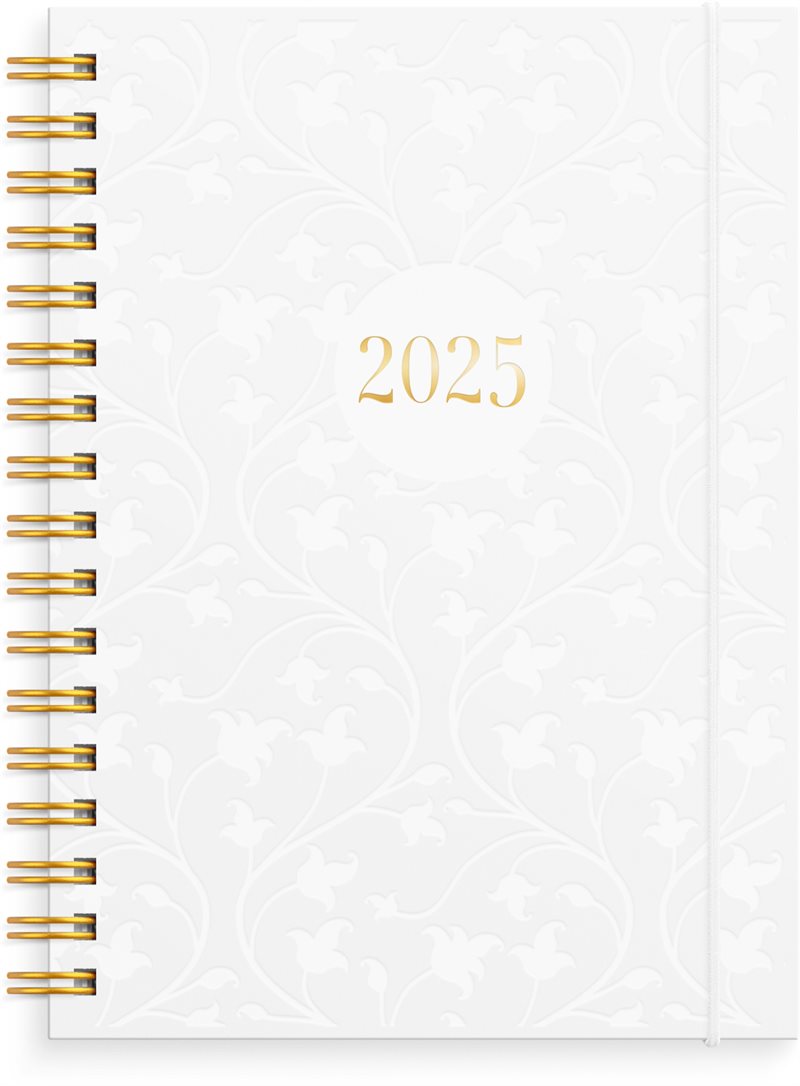 Kalender 2025 Senator A6 Star