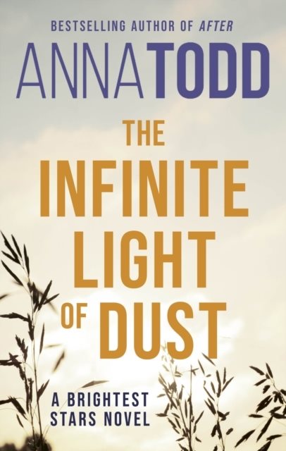 The Infinite Light of Dust