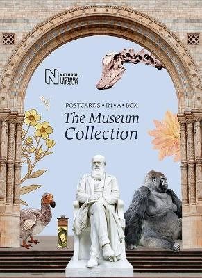 The Museum Collection