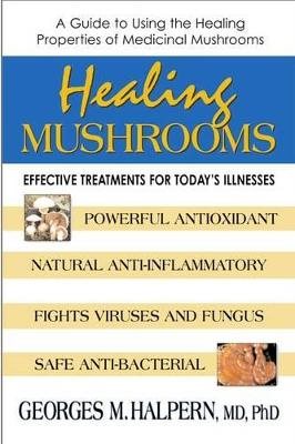 Healing Mushrooms: Effective Treatments For Today