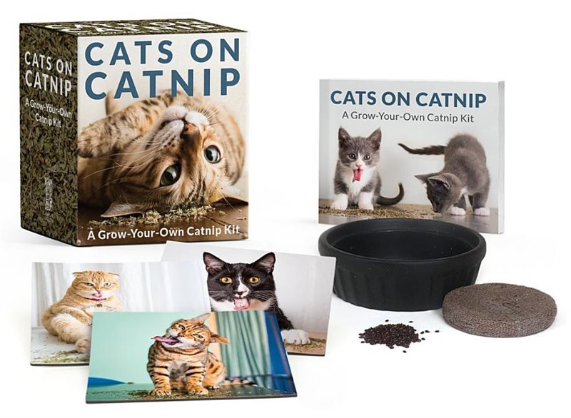 Cats On Catnip: A Grow-Your-Own Catnip Kit