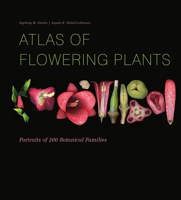 Atlas Of Flowering Plants