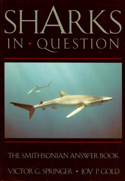 Sharks In Question