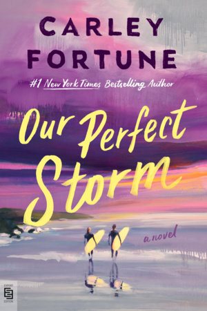 Our Perfect Storm