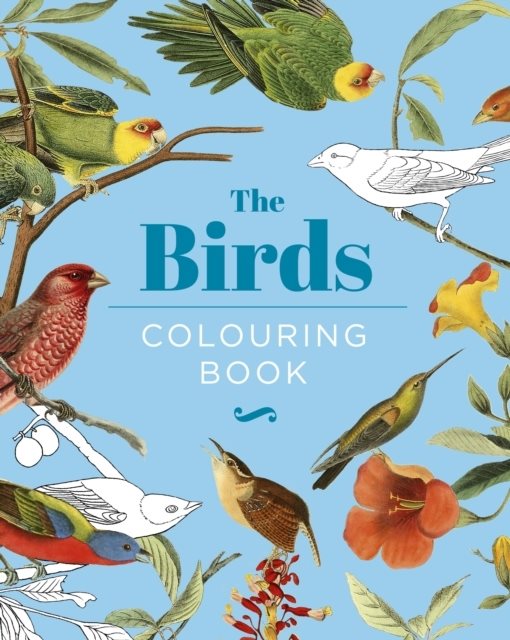 The Birds Colouring Book