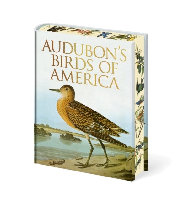 Audubon