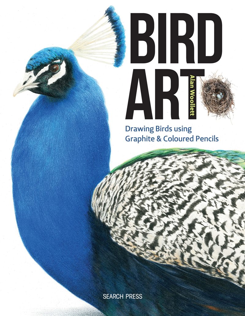 Bird art - drawing birds using graphite & coloured pencils