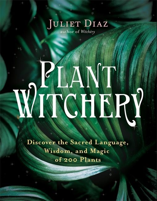 Plant Witchery