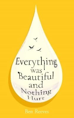 Everything was Beautiful and Nothing Hurt