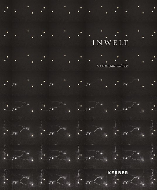 Maximilian Prüfer : Inwelt