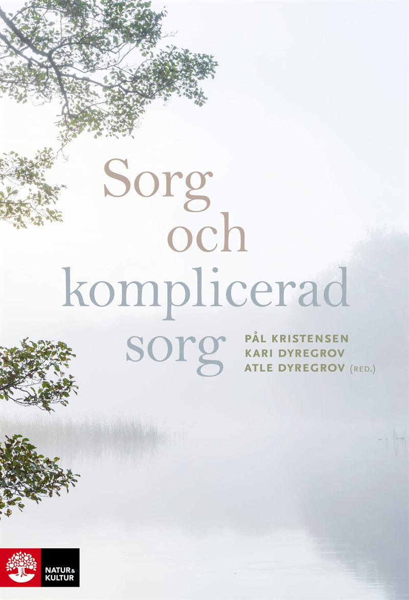 Sorg och komplicerad sorg