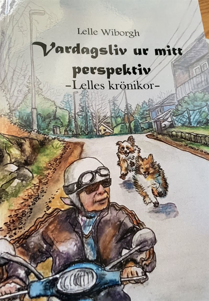 Vardagsliv ur mitt perspektiv Lelles krönikor