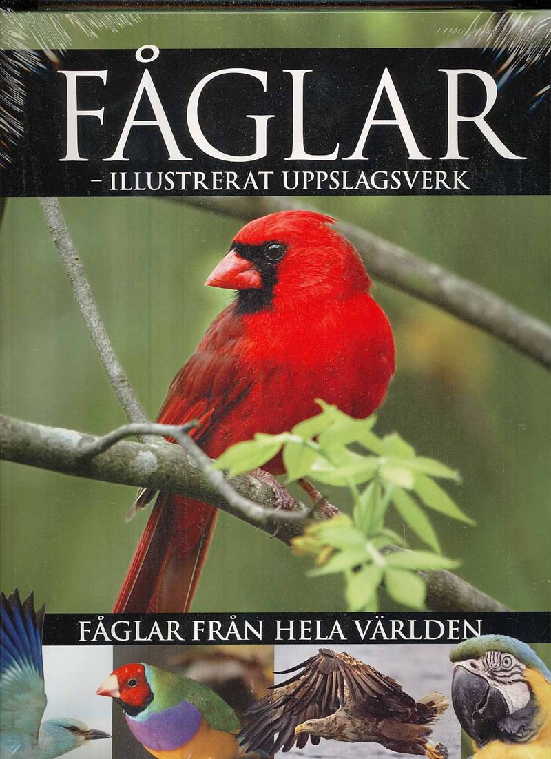 Fåglar - illustrerat uppslagsverk