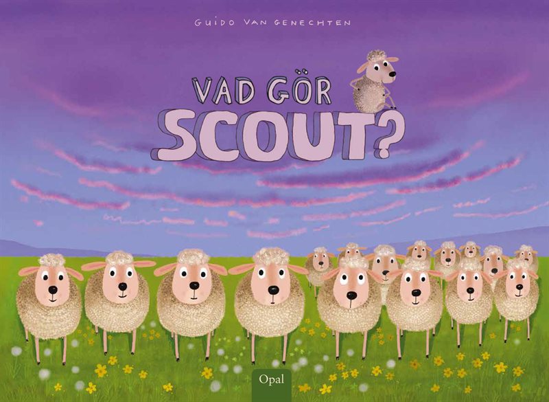 Vad gör Scout?