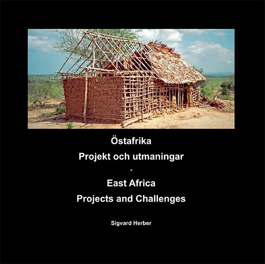 Östafrika projekt och utmaningar