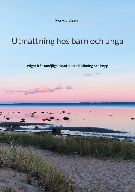 Utmattning hos barn och unga : vägar från omöjliga ekvationer till läkning och hopp