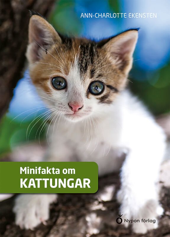 Minifakta om kattungar