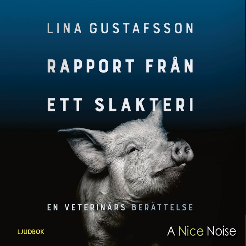 Rapport från ett slakteri : en veterinärs berättelse