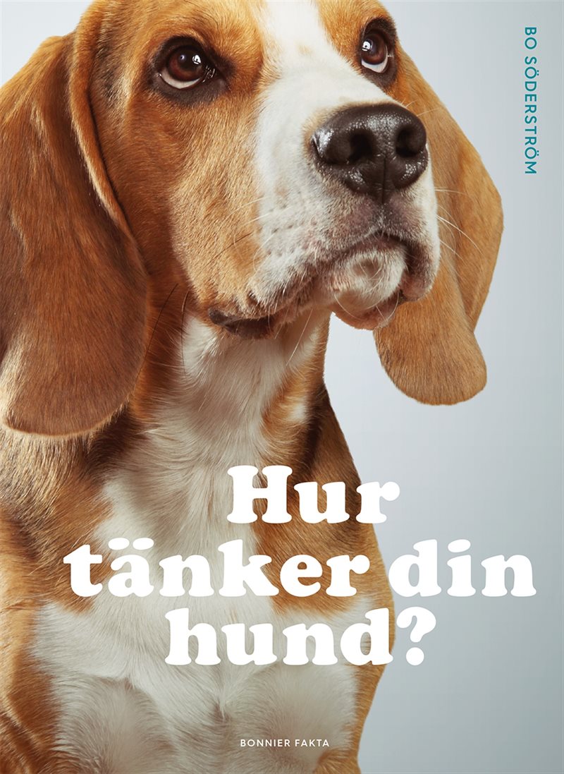 Hur tänker din hund?