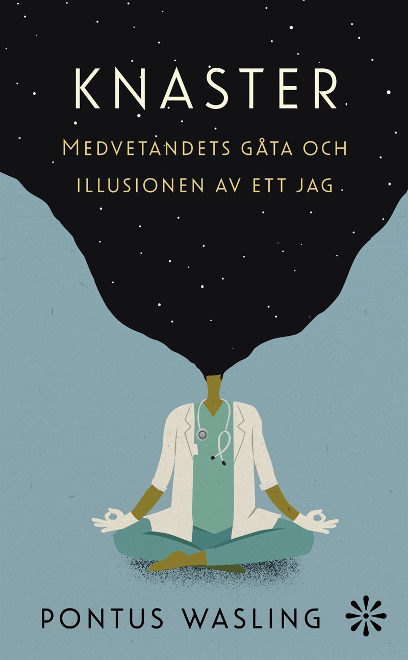 Knaster : medvetandets gåta och illusionen av ett jag