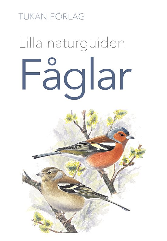 Lilla naturguiden: fåglar