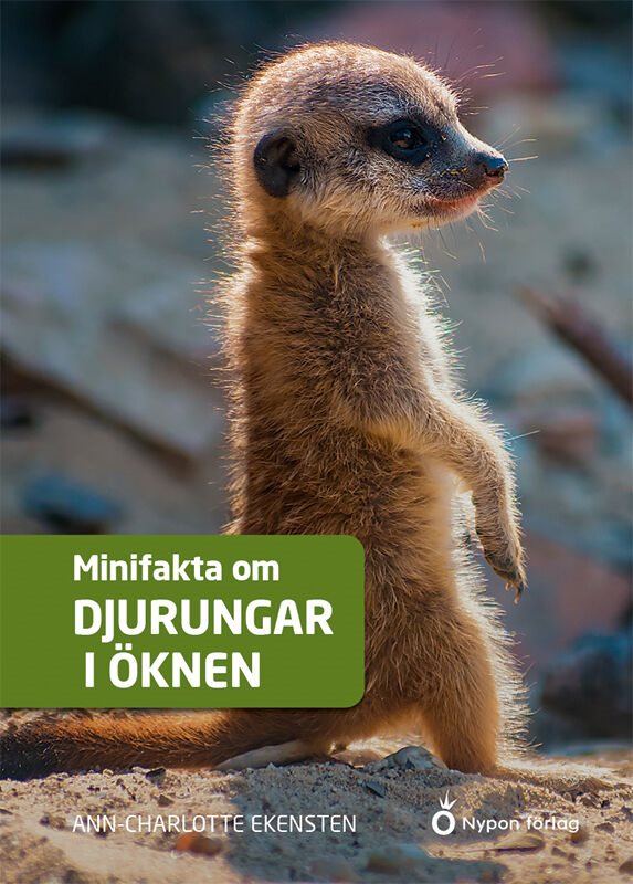 Minifakta om djurungar i öknen