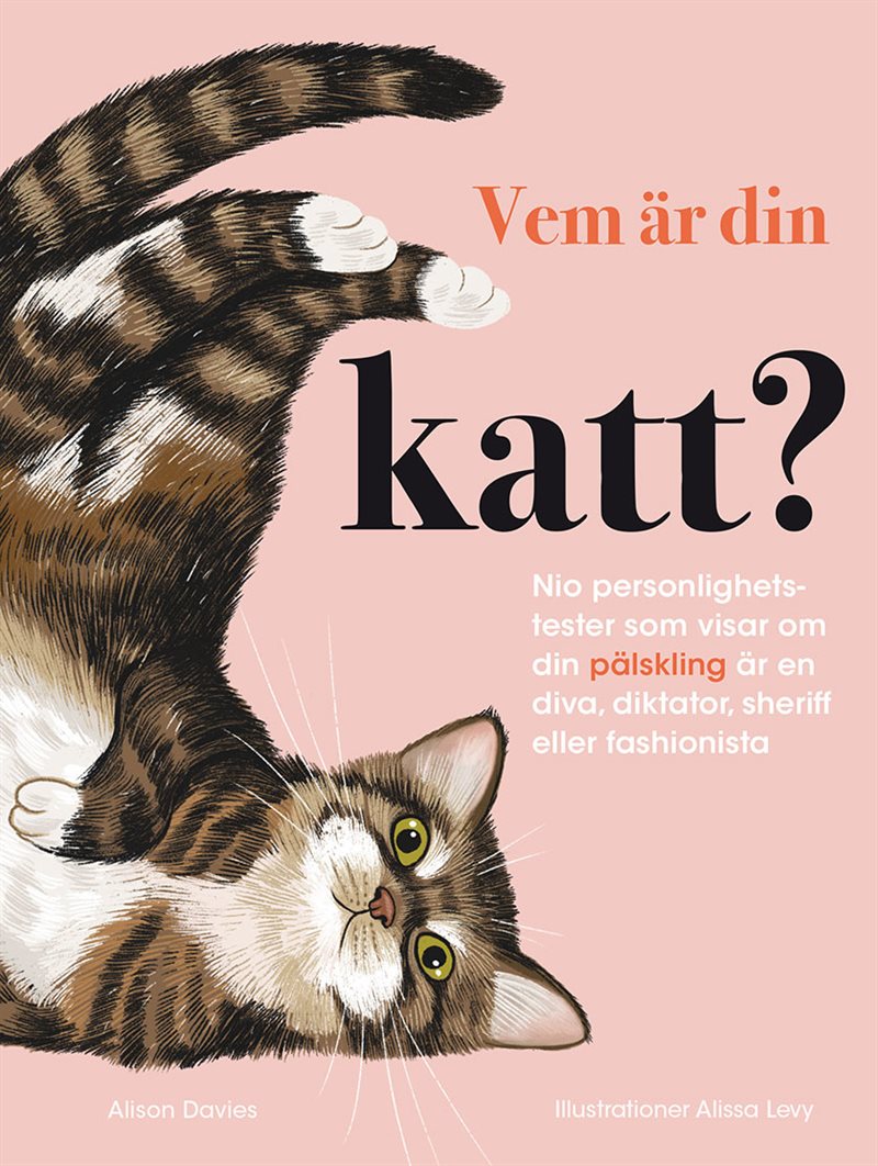 Vem är din katt?