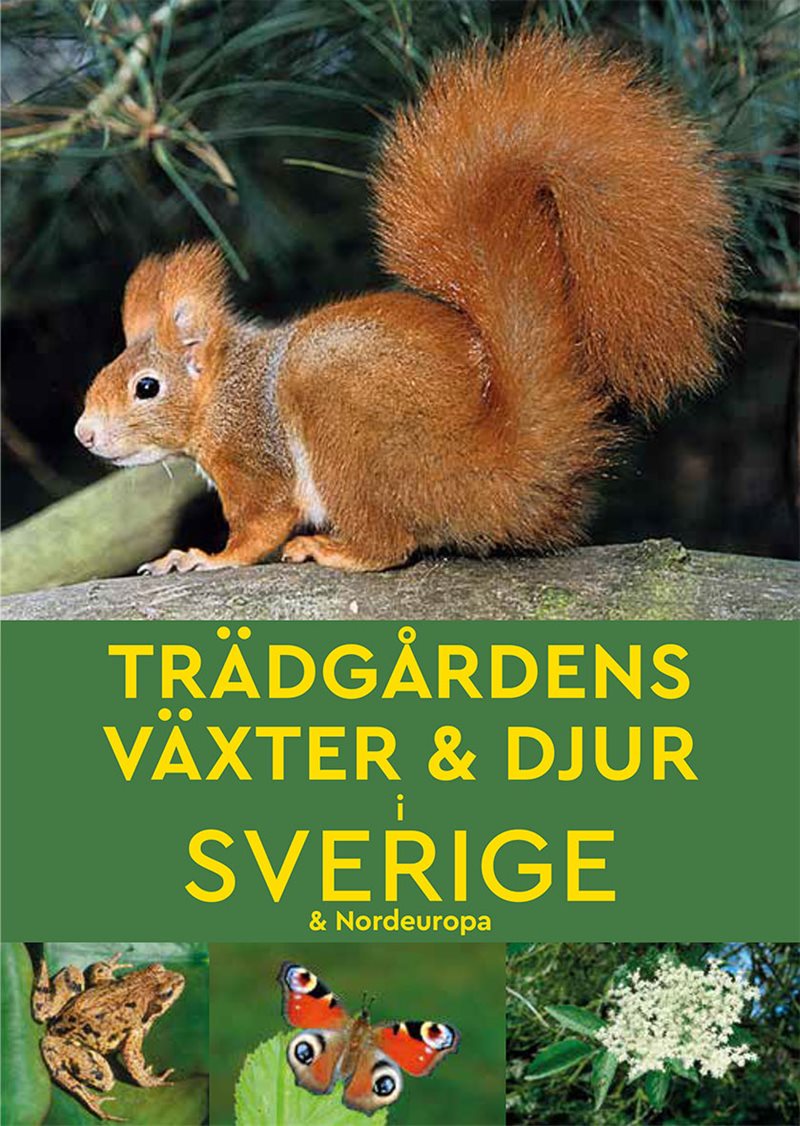 Trädgårdens växter & djur i Sverige & Nordeuropa