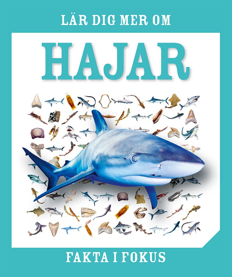 Lär dig mer om hajar