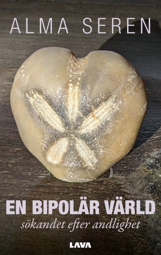 En bipolär värld : sökandet efter andlighet