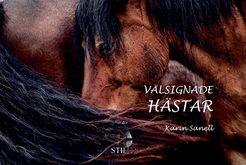 Välsignade hästar