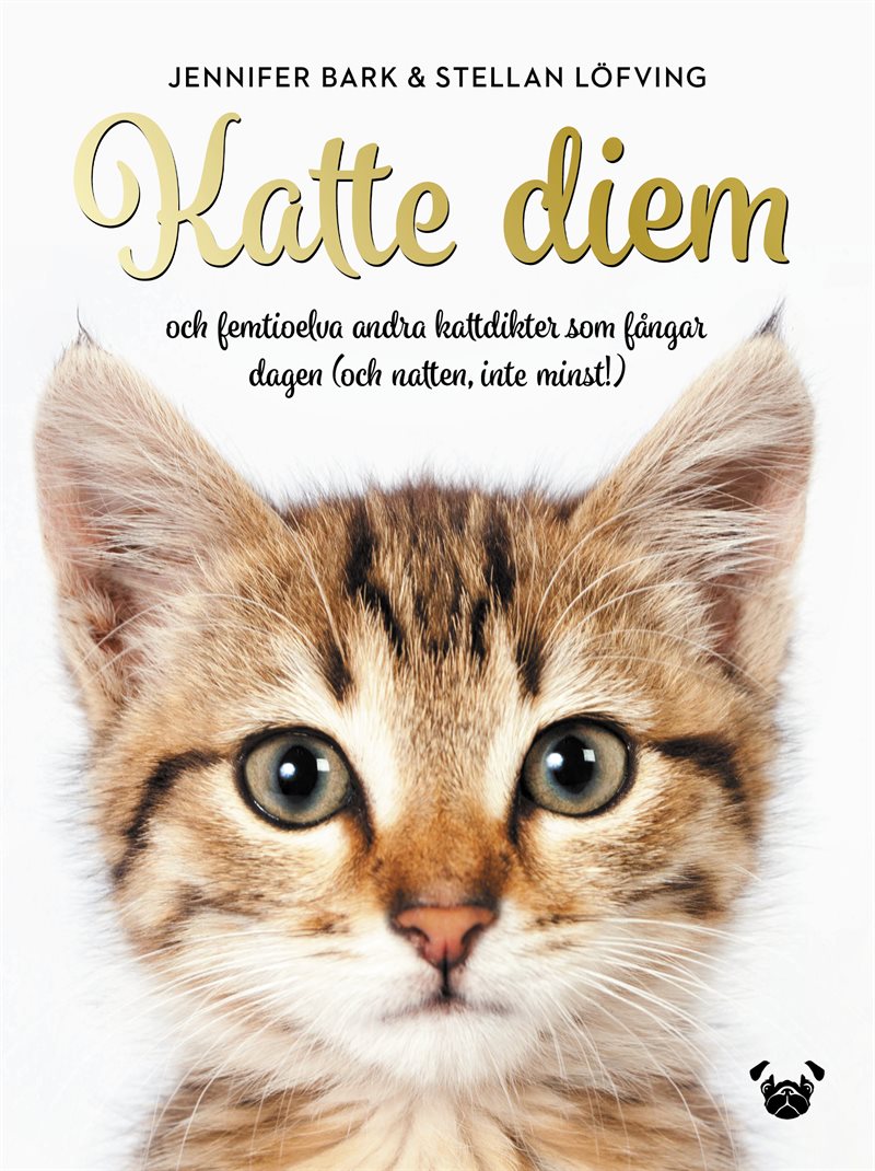 Katte Diem : och femtioelva andra kattdikter som fångar dagen (och natten, inte minst!)