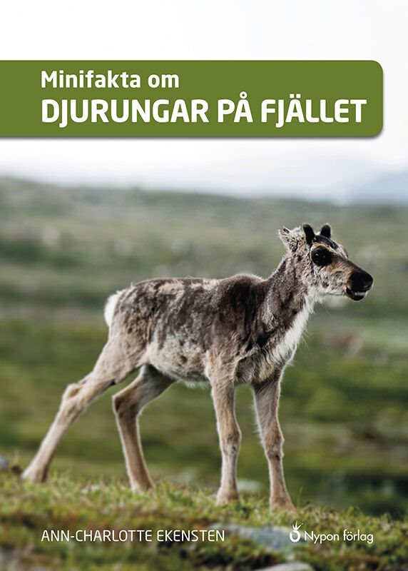 Minifakta om djurungar på fjället