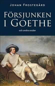 Försjunken i Goethe och andra essäer