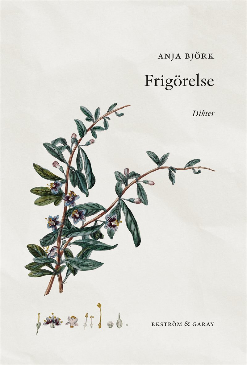 Frigörelse