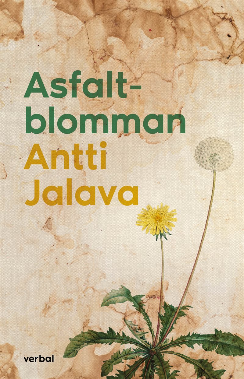 Asfaltblomman