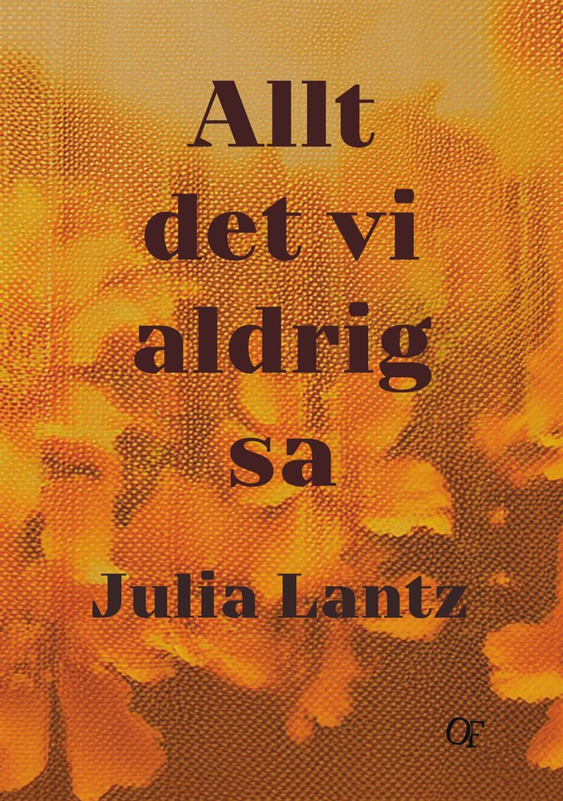 Allt det vi aldrig sa