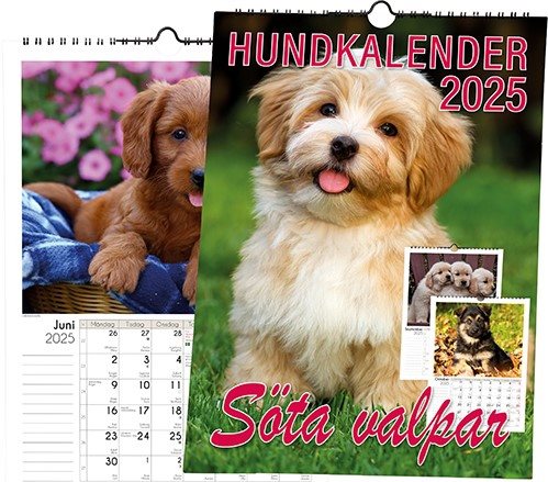 Hundkalender 2025