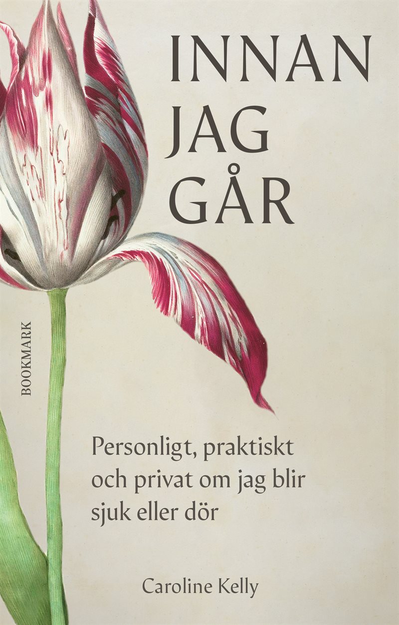 Innan jag går : personligt, praktiskt och privat om jag blir sjuk eller dör