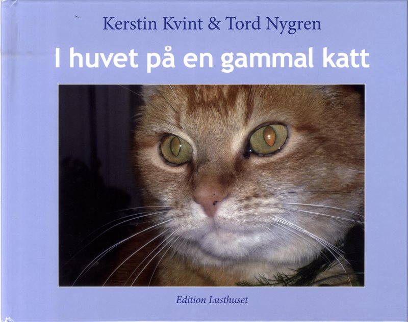 I huvet på en gammal katt