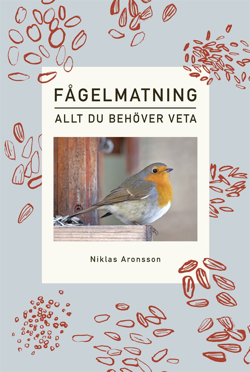 Fågelmatning : allt du behöver veta