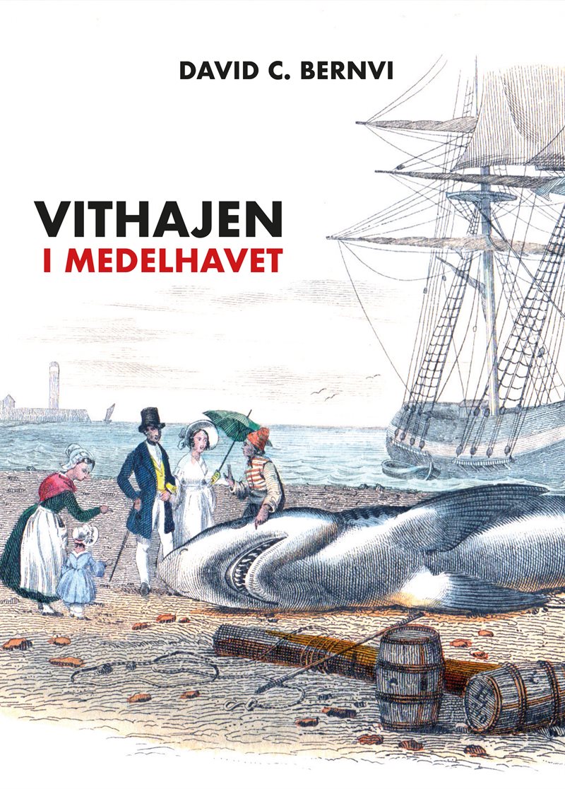 Vithajen i Medelhavet