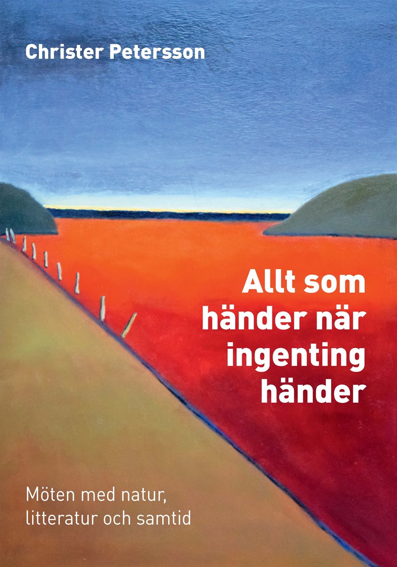 Allt som händer när ingenting händer : möten med natur, litteratur och samtid