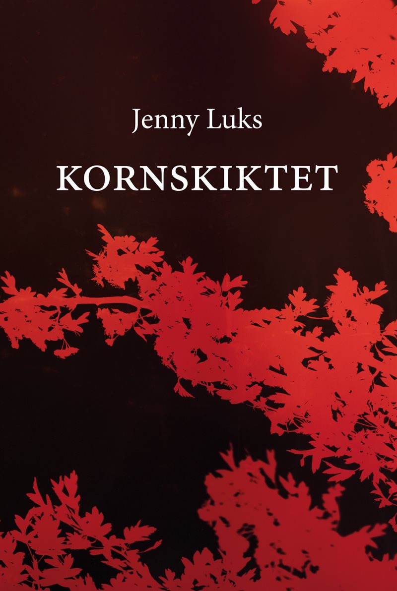 Kornskiktet