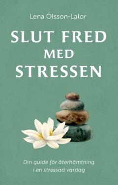 Slut fred med stressen : din guide för återhämtning i en stressad vardag