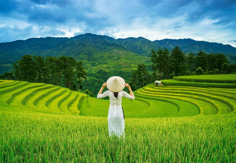 Rice Fields in Vietnam, 1000-bitarspussel
