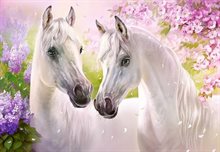 Romantic Horses - C-104147-2
